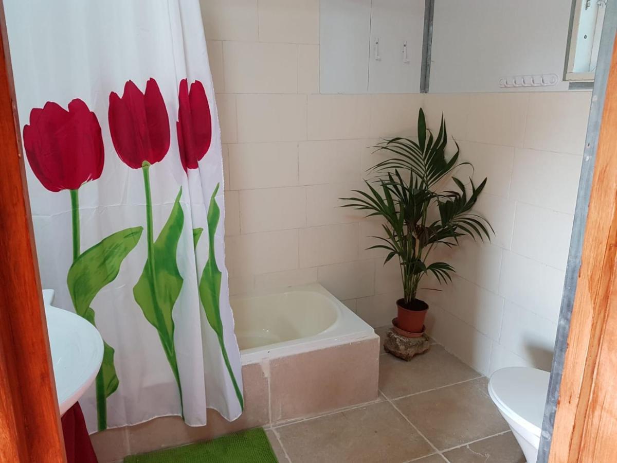 יורט מונגולי Apartment Matzuva Ngoại thất bức ảnh